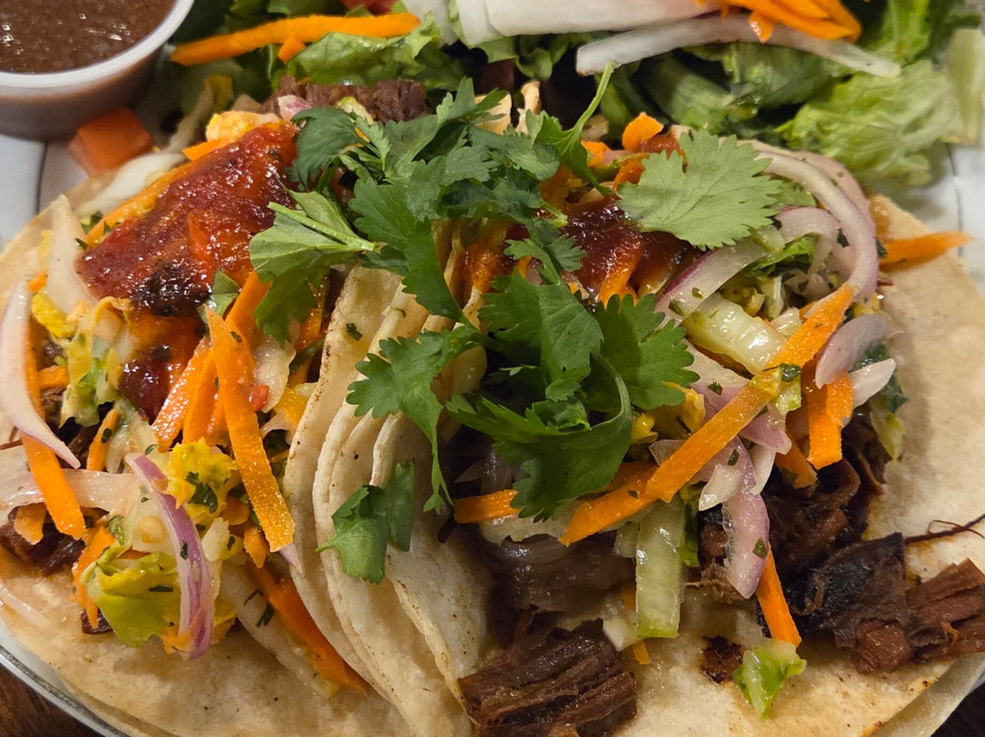 St. Augustine Experiences-圣奥古斯丁必去景点