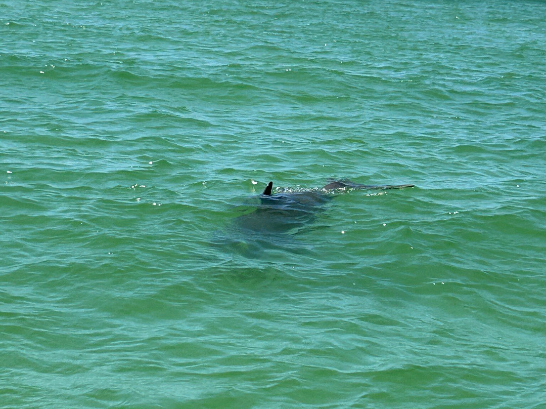 Naples Water Tours-那不勒斯必去景点