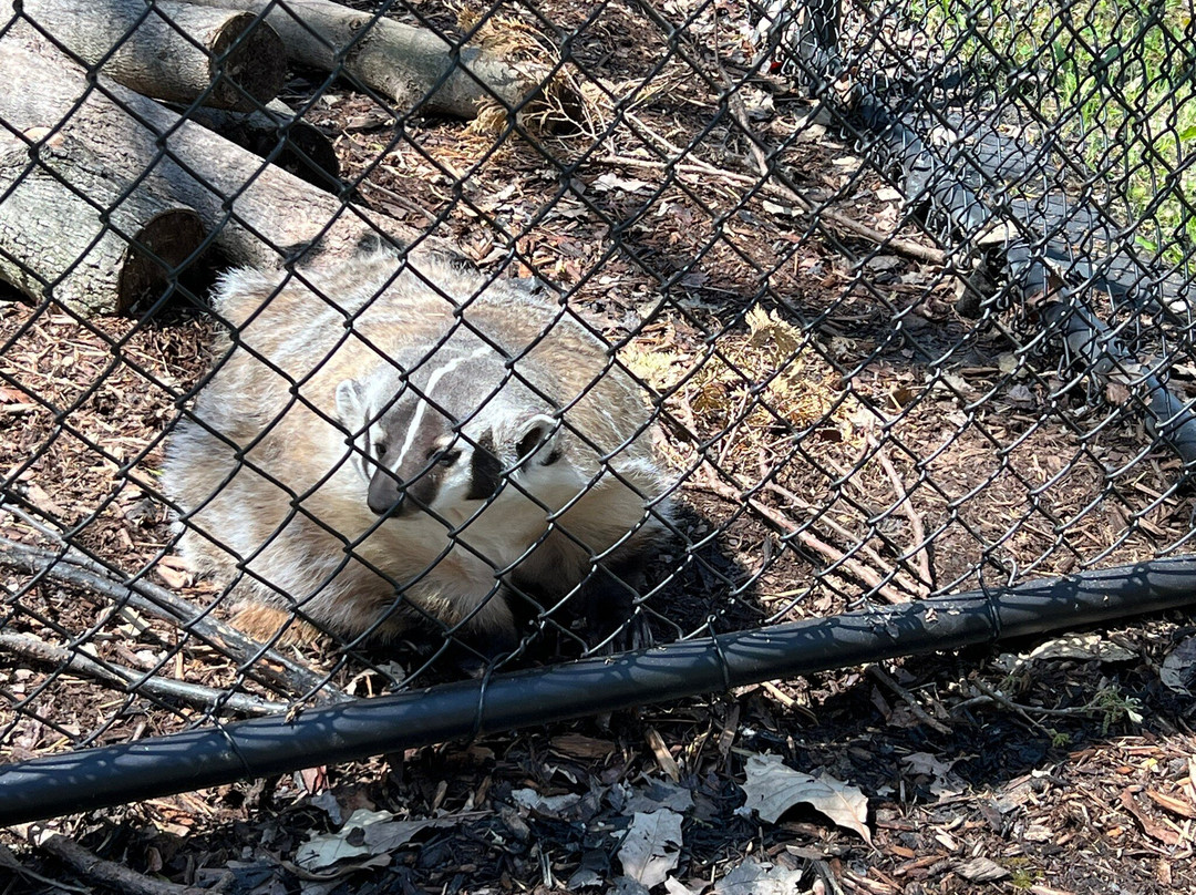 Wilderness Trails Zoo-伯奇伦必去景点