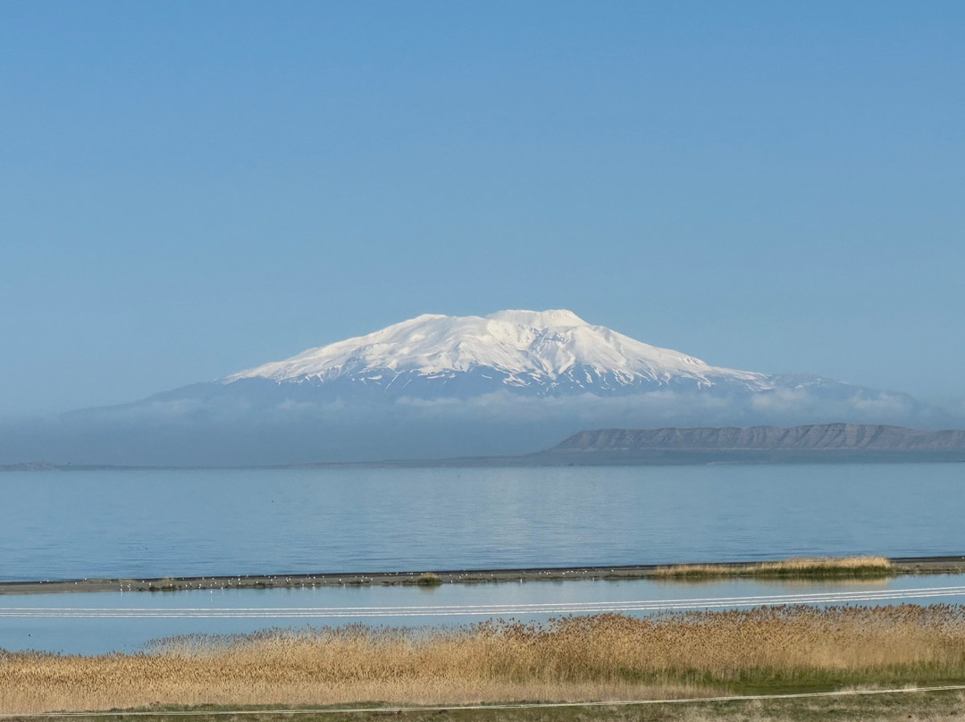 DoubleTree by Hilton Hotel Van主图