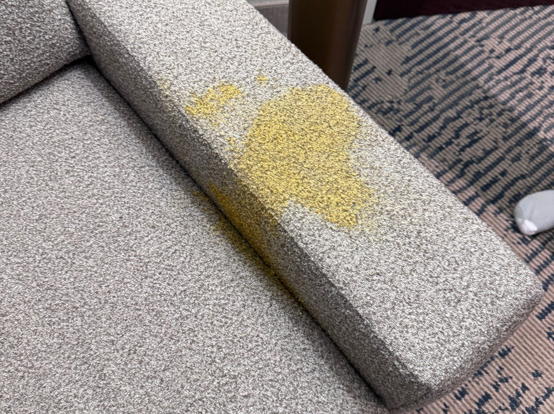 SpringHill Suites by Marriott Jacksonville North I-95 Area主图