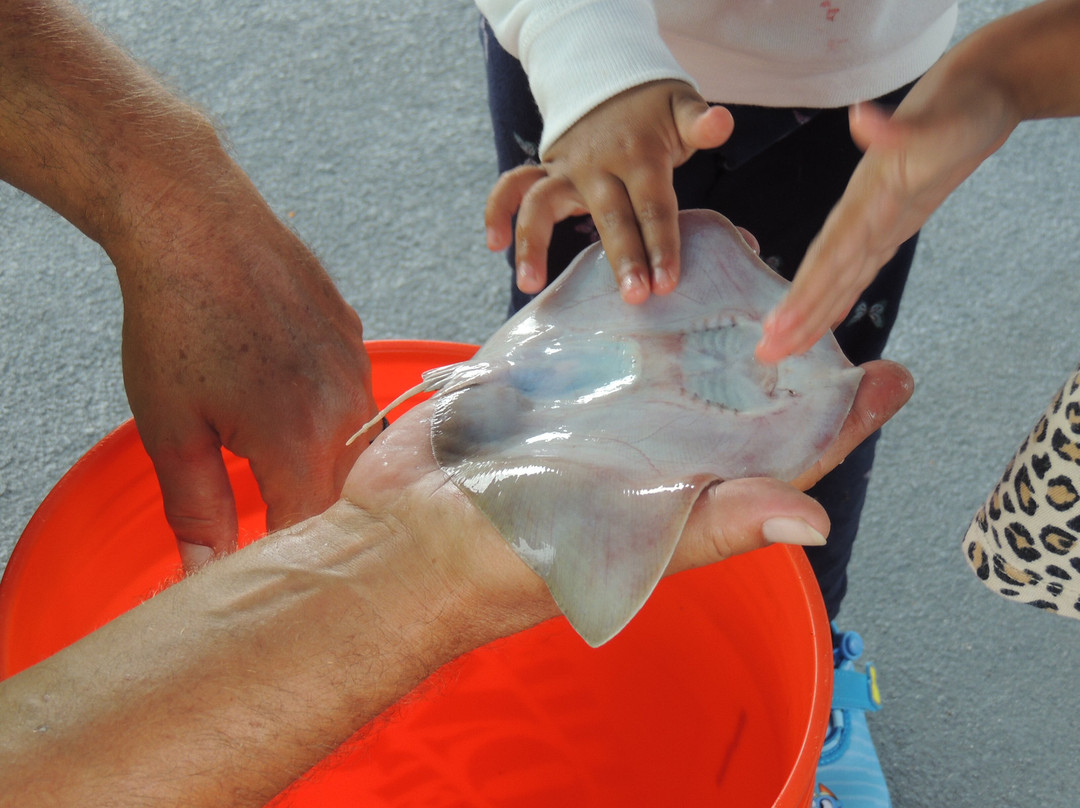 Voyager Fishing Charters-美特尔海滩必去景点