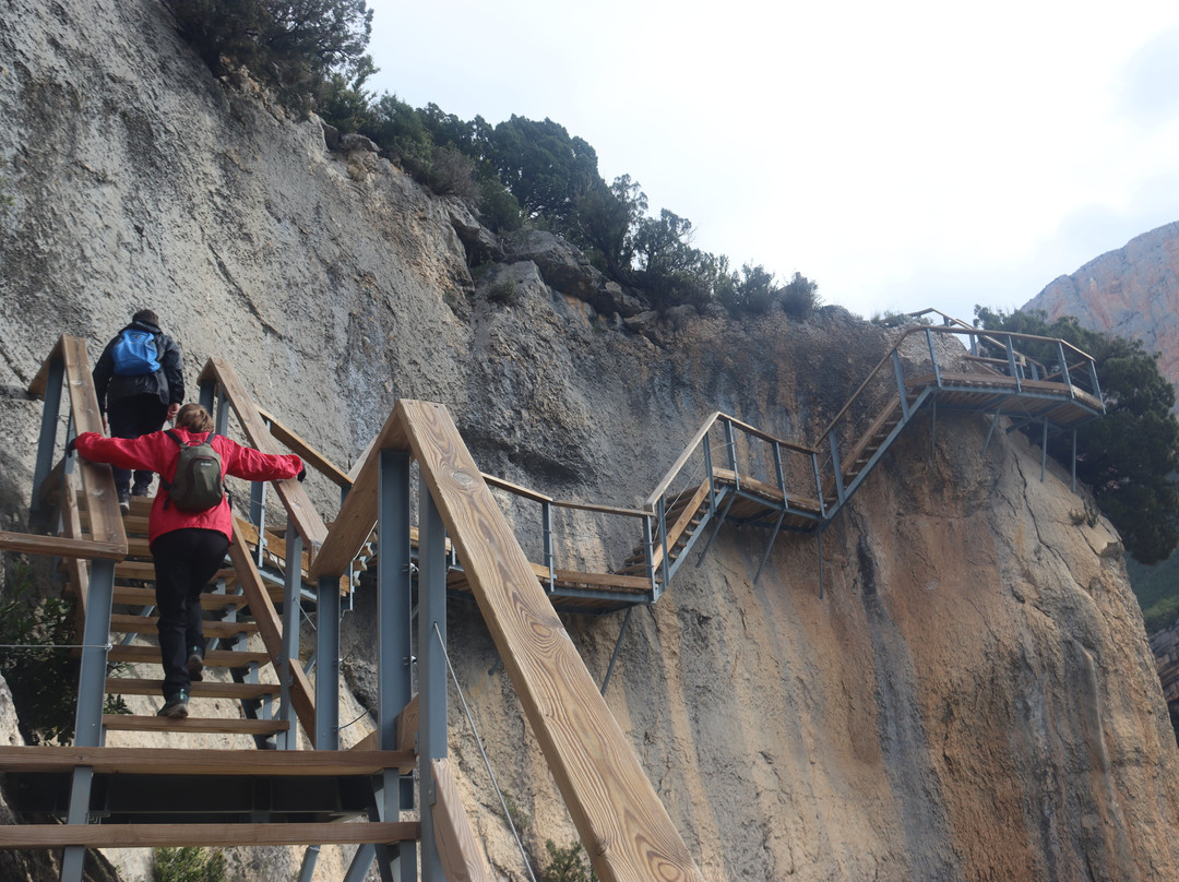 Pasarelas de Montfalco-Viacamp必去景点