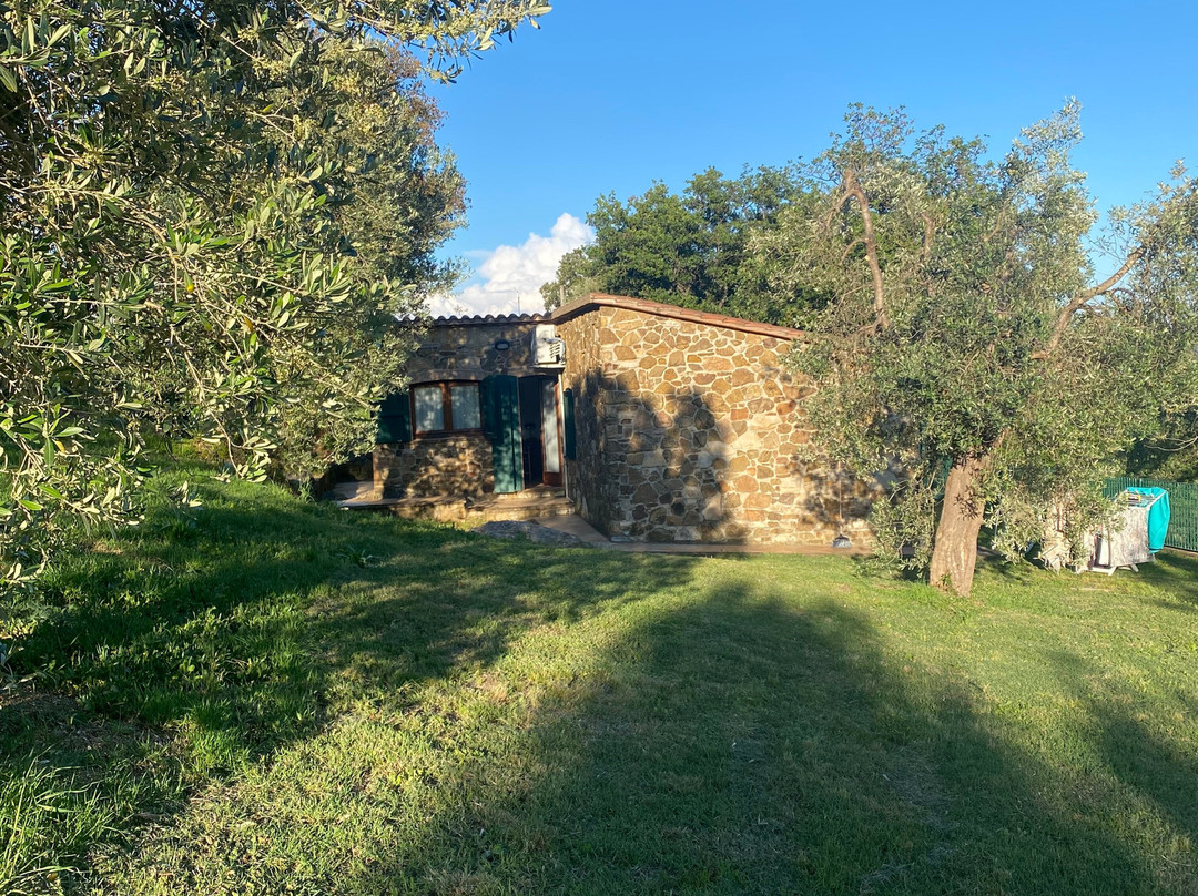 Agriturismo Poggio Diavolino主图
