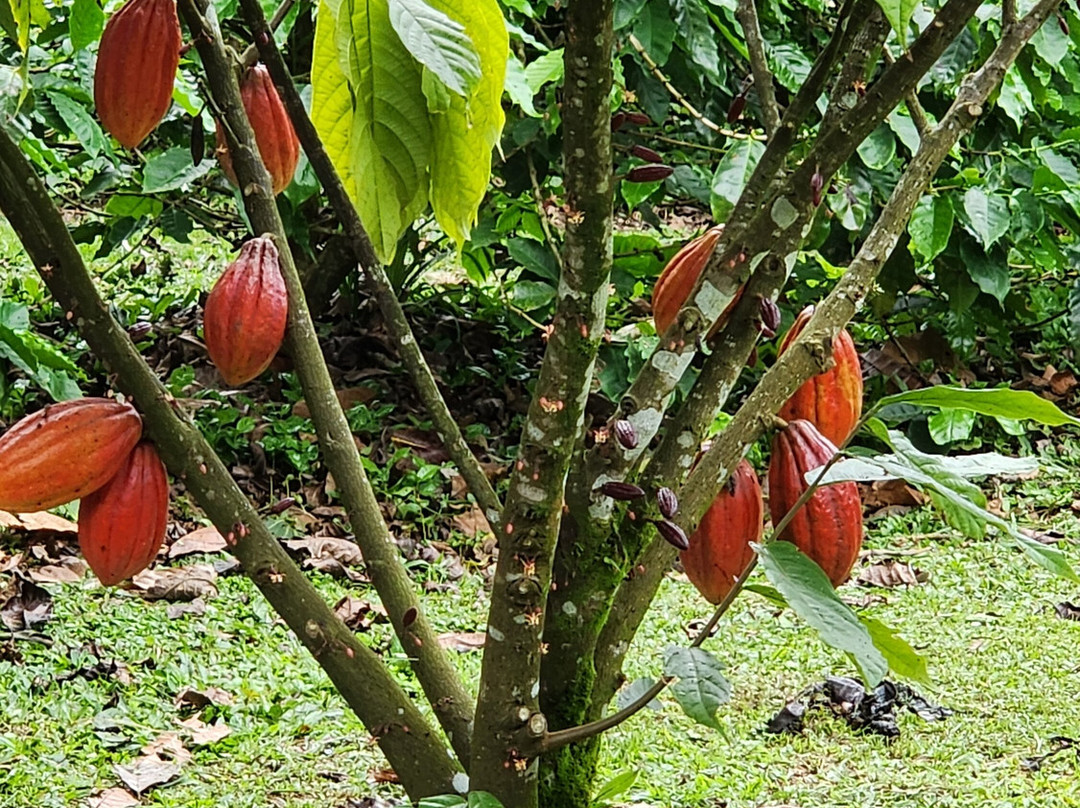 Prime Tours Costa Rica-利比里亚必去景点