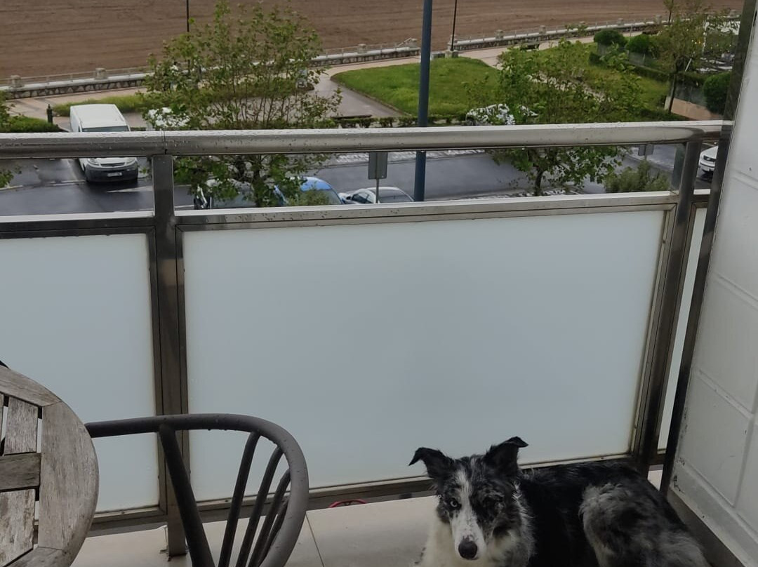 Petit Palace Tamarises主图