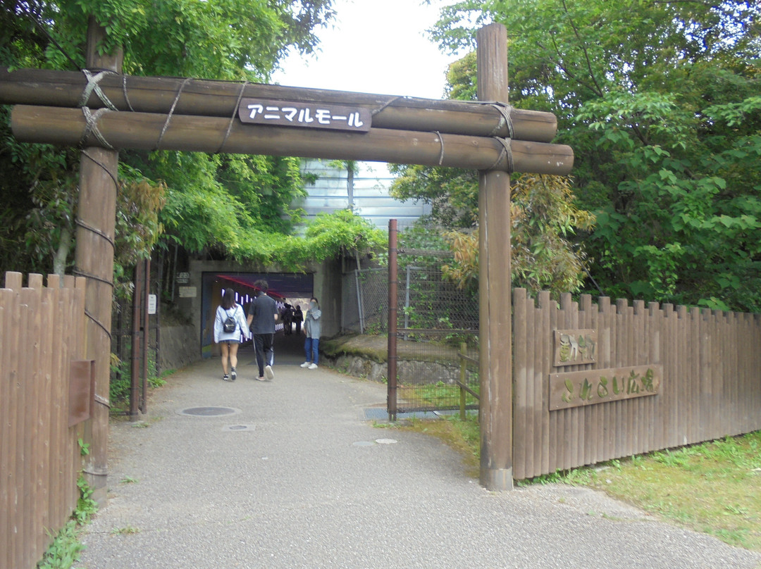 Higashi Park-冈崎市必去景点