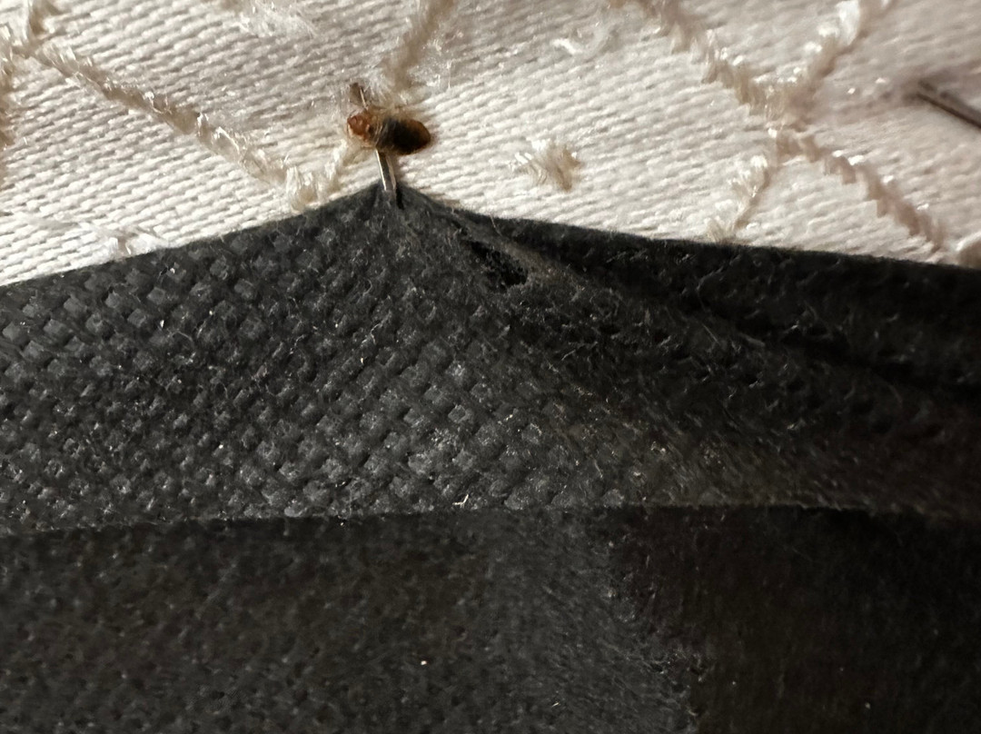 Super 8 by Wyndham Fairmont主图