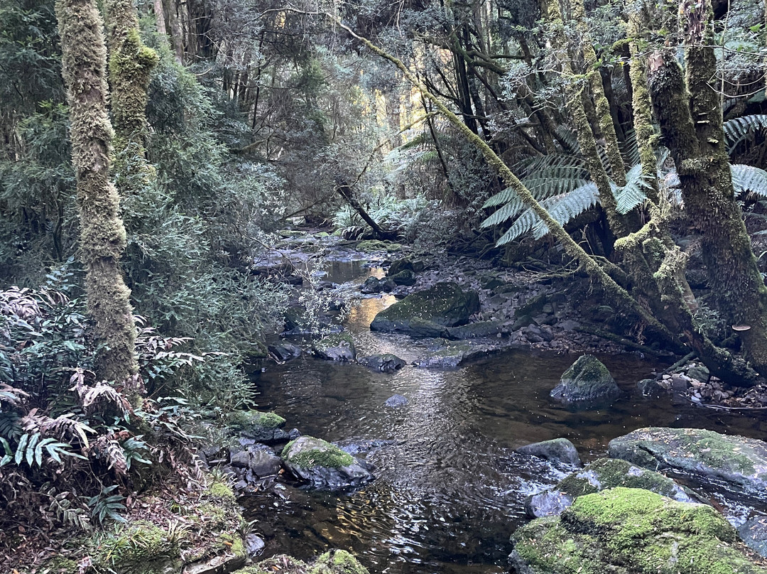 Nelson Falls-皇后镇必去景点