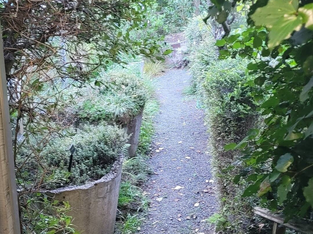 Fernglen Native Plant Gardens-Birkenhead必去景点