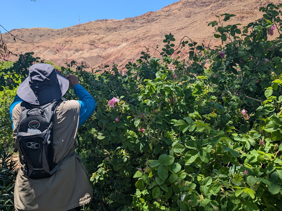 Morocco Trekking Guides-Boumalne Dades必去景点