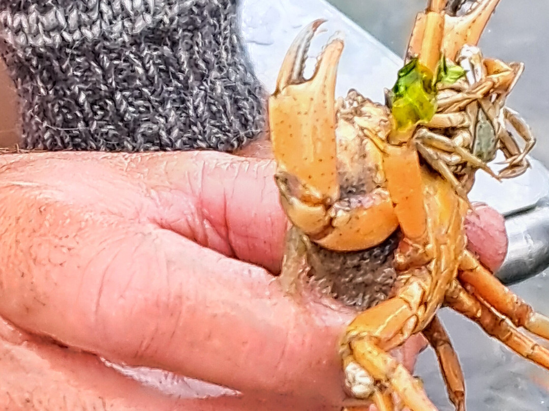 Expeditie Waddenzee-Ballum必去景点