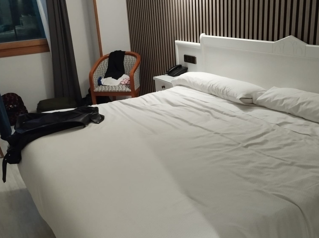 Hotel Ciudad de Cangas de Onis主图