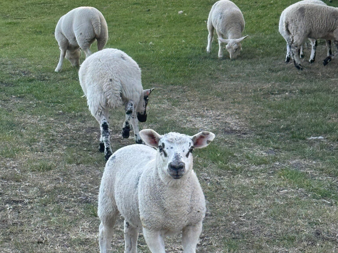 Broad Croft House主图