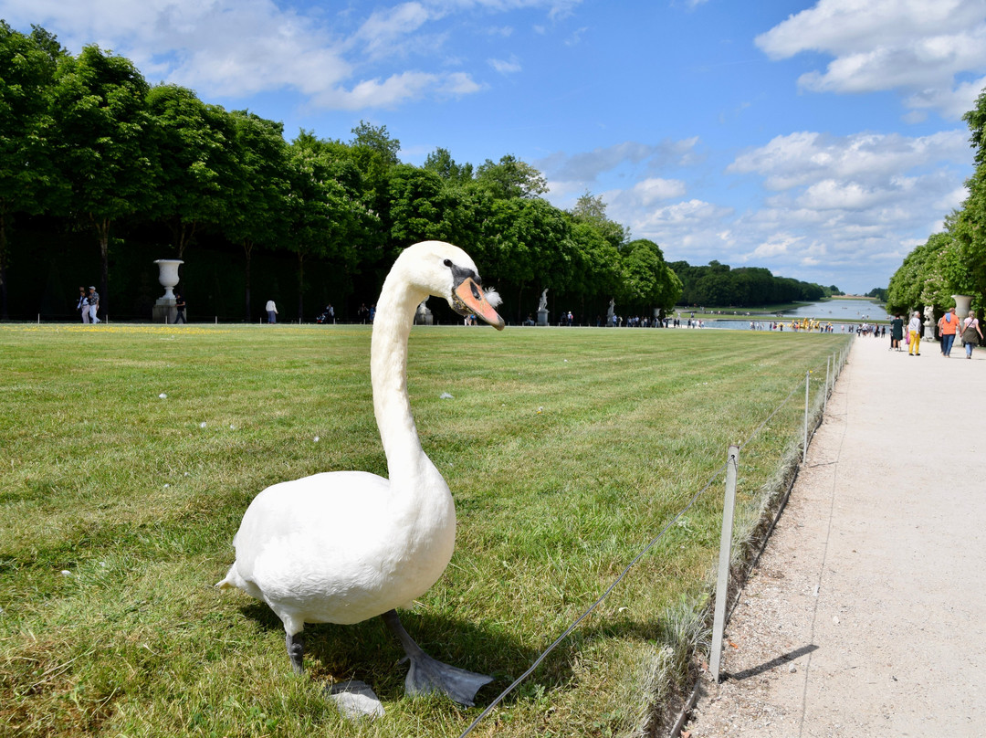 Paris To Versailles Private Tours景点图片