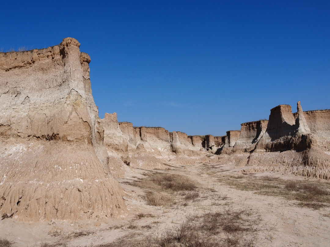 Datong Forest-大同市必去景点