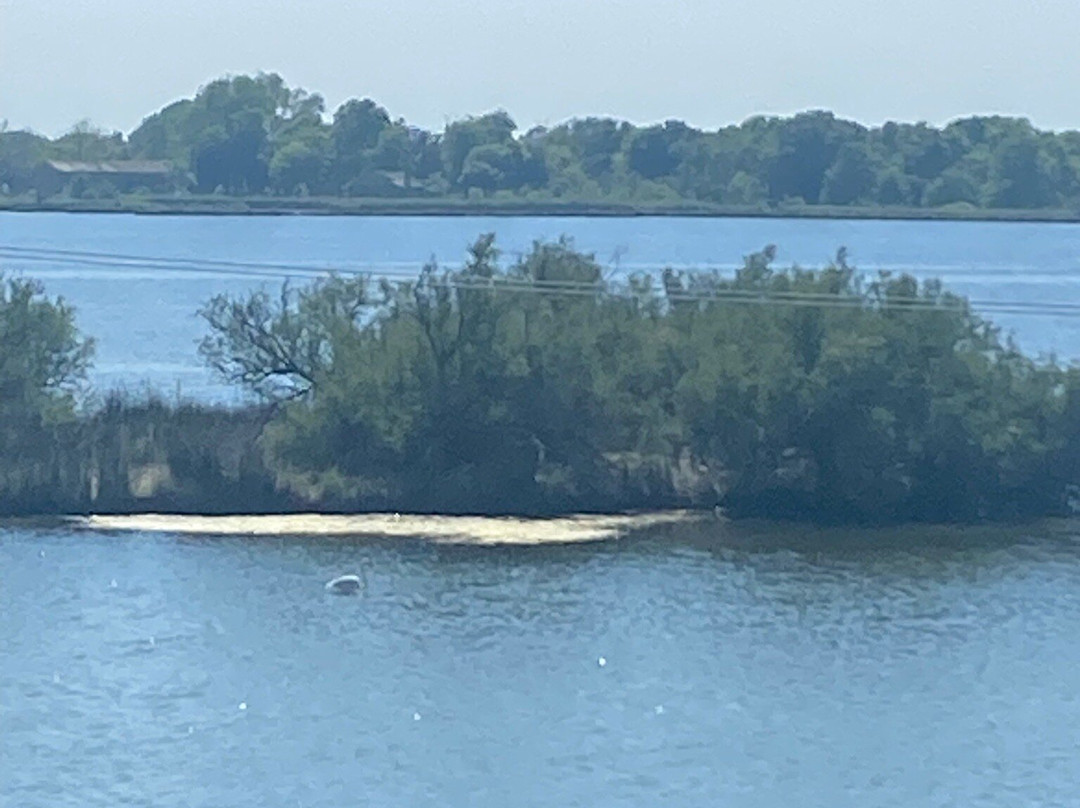 Parco Delta Del Po-科马基奥必去景点