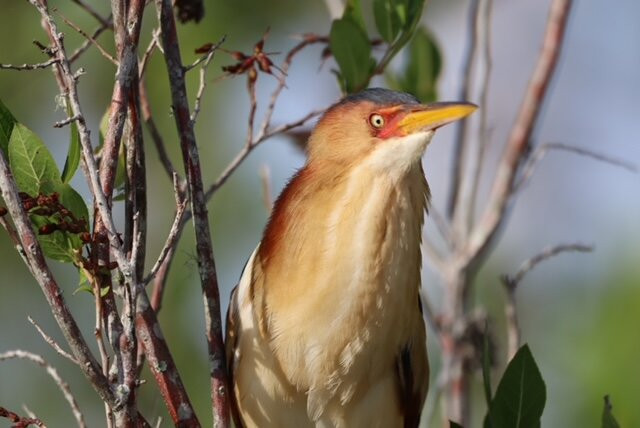 Okefenokee & Satilla Expeditions LLC-Folkston必去景点