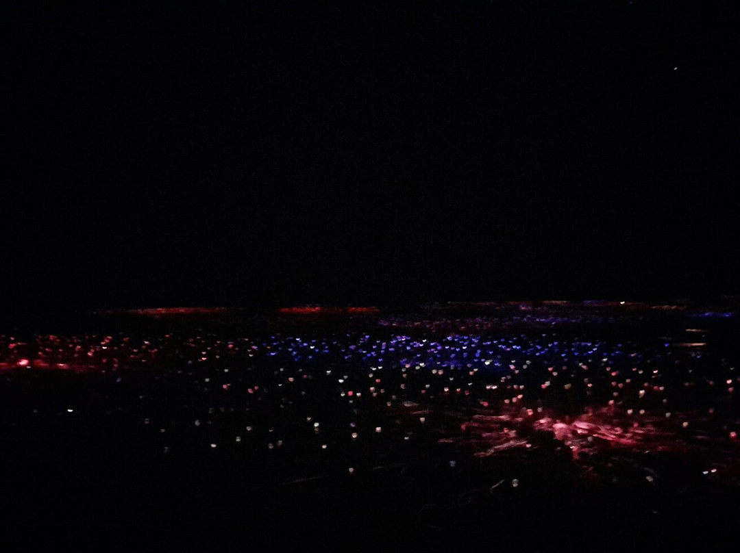 Field of Light-乌鲁鲁-卡塔丘塔国家公园必去景点