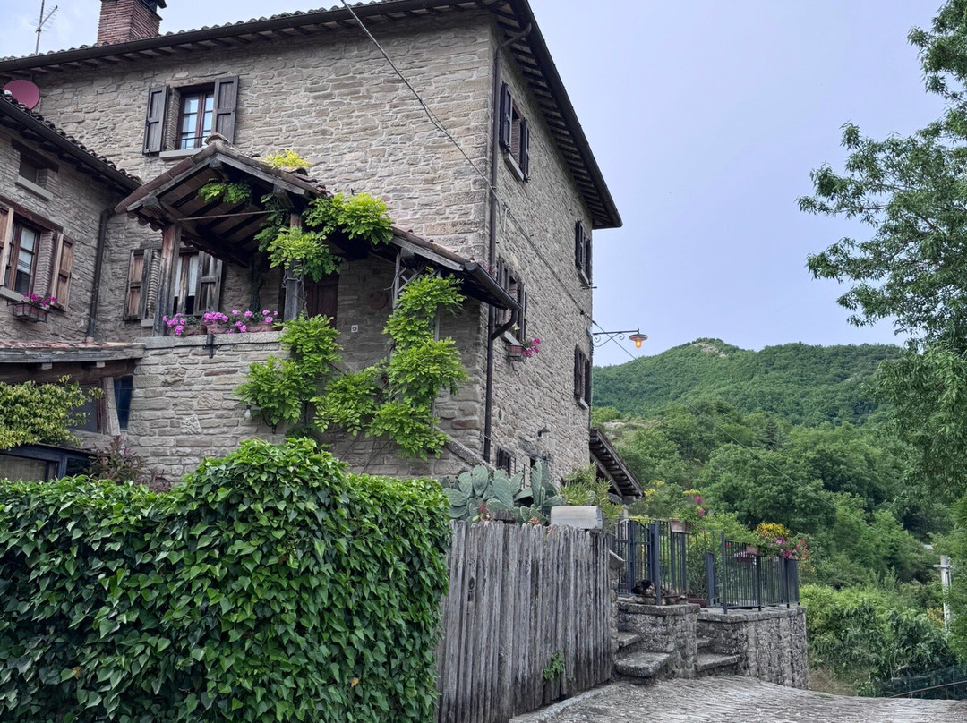 Agriturismo biologico Castello Della Pieve主图