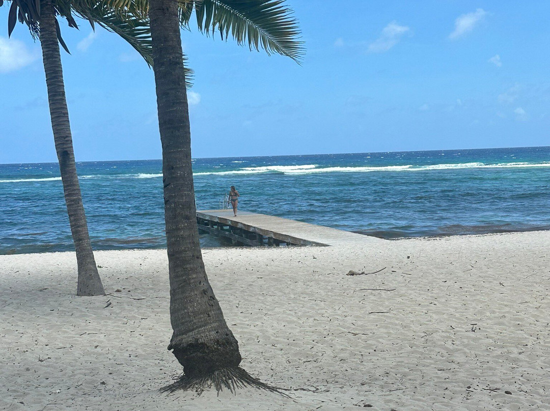 Spotts Beach-大开曼岛必去景点