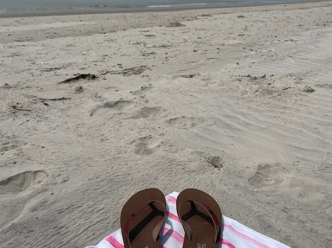 Wrightsville Beach Scenic Tours-赖茨维尔比奇必去景点