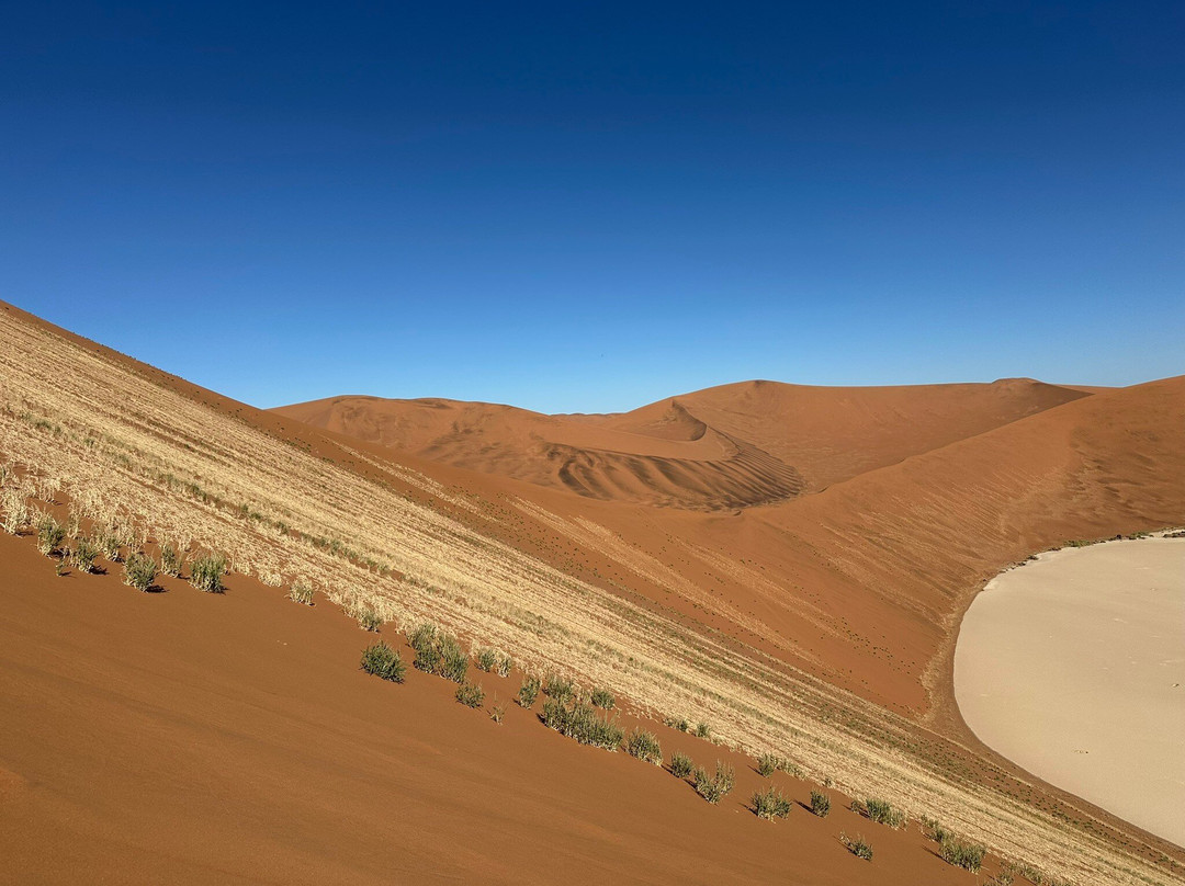 Big Daddy Dune-苏丝斯黎必去景点