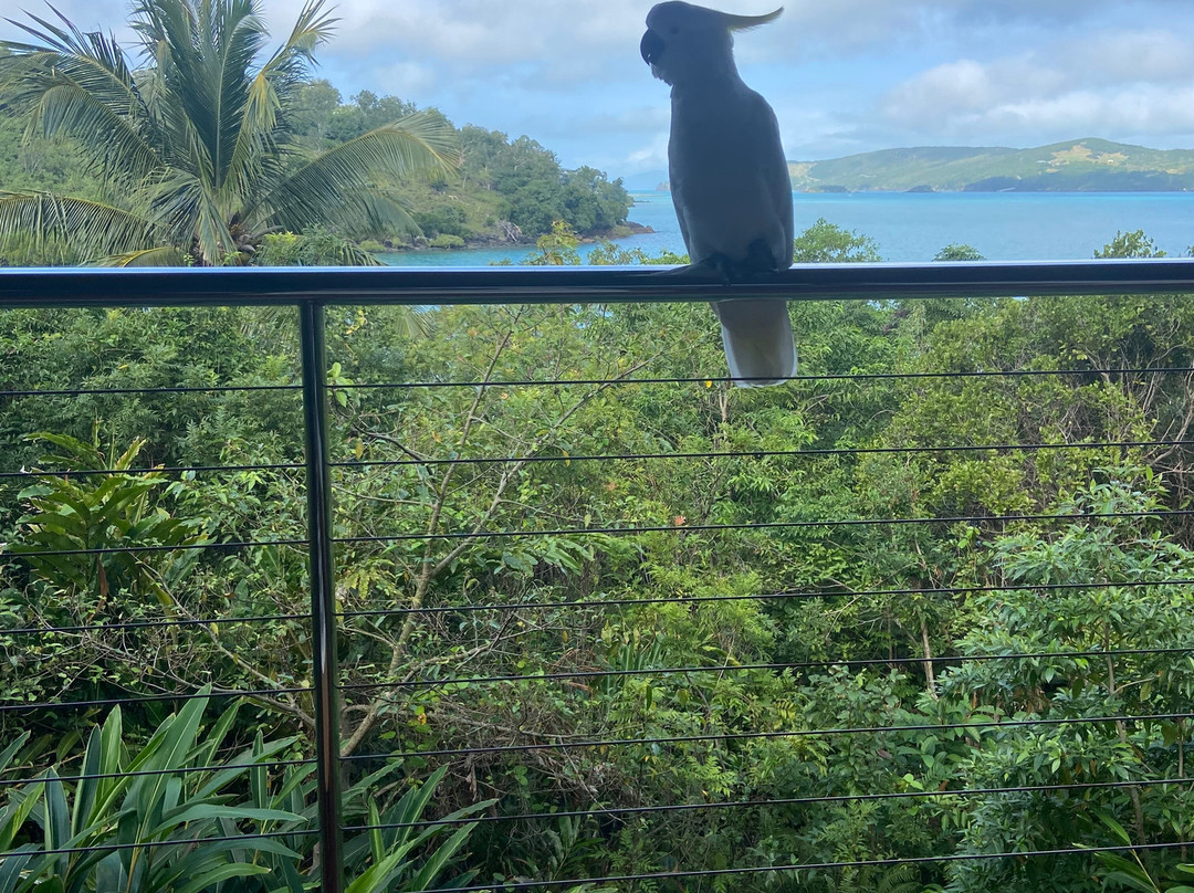 夸里阿酒店主图