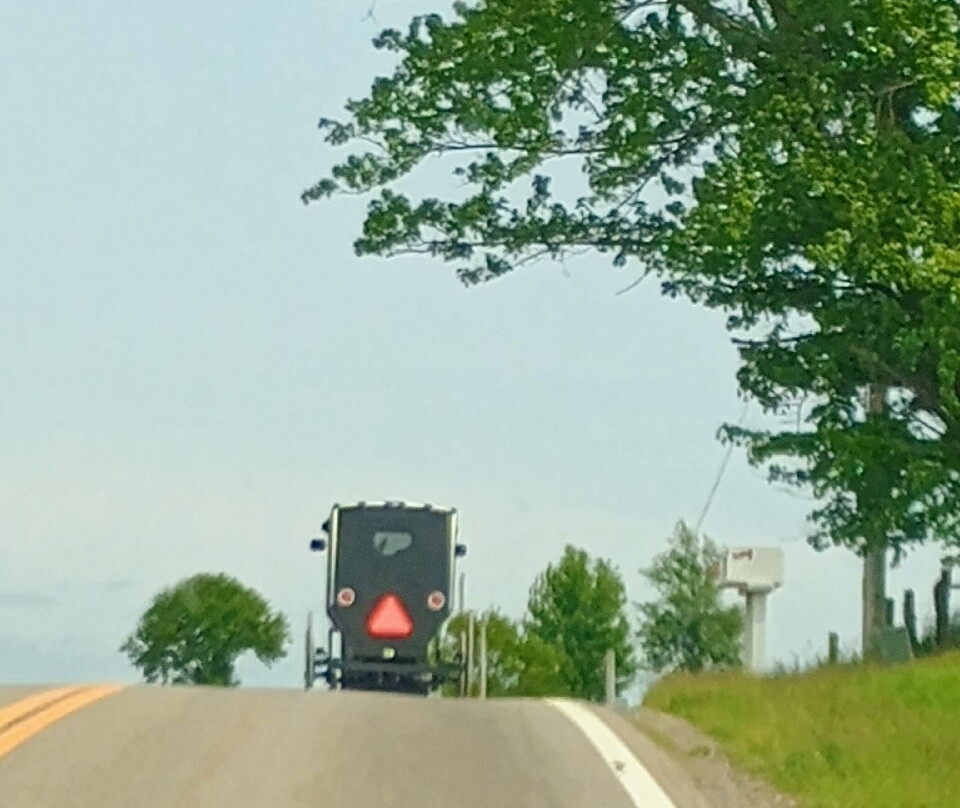 Troyer's Amish Tours-Millersburg必去景点