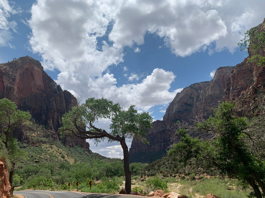 Greater Zion E-bikes-斯普林代尔必去景点