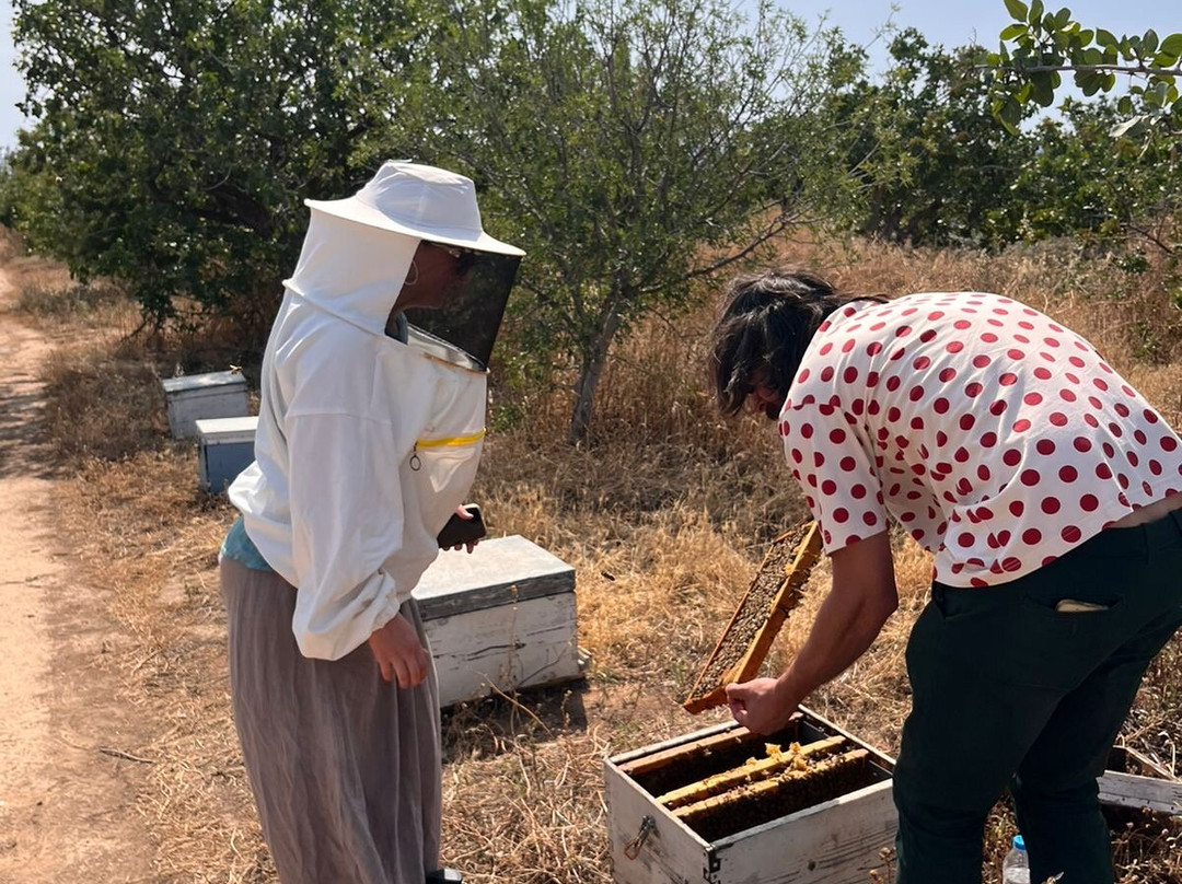 Μouriki Greek Premium Honey-埃莱夫西纳必去景点