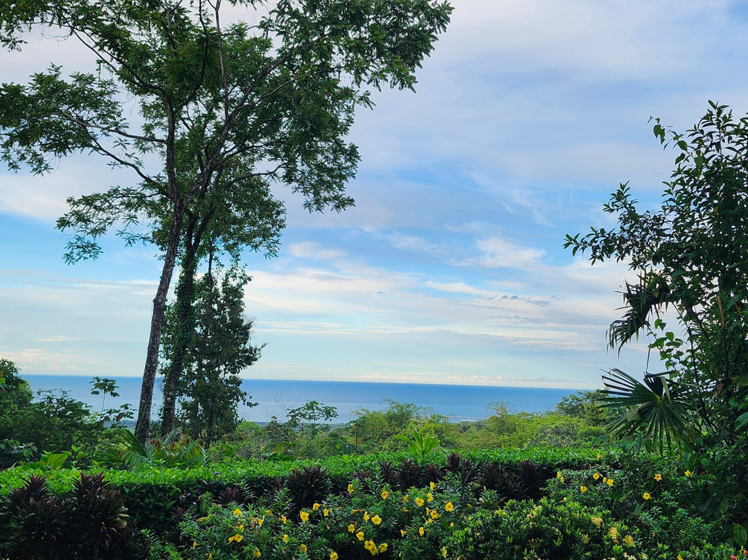 Oxygen Jungle Villas & Spa主图