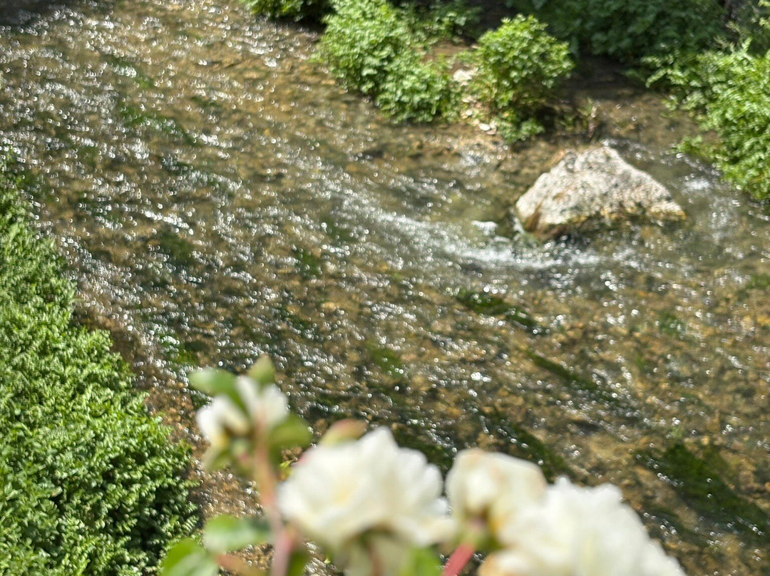 Bagni Triponzo景点图片