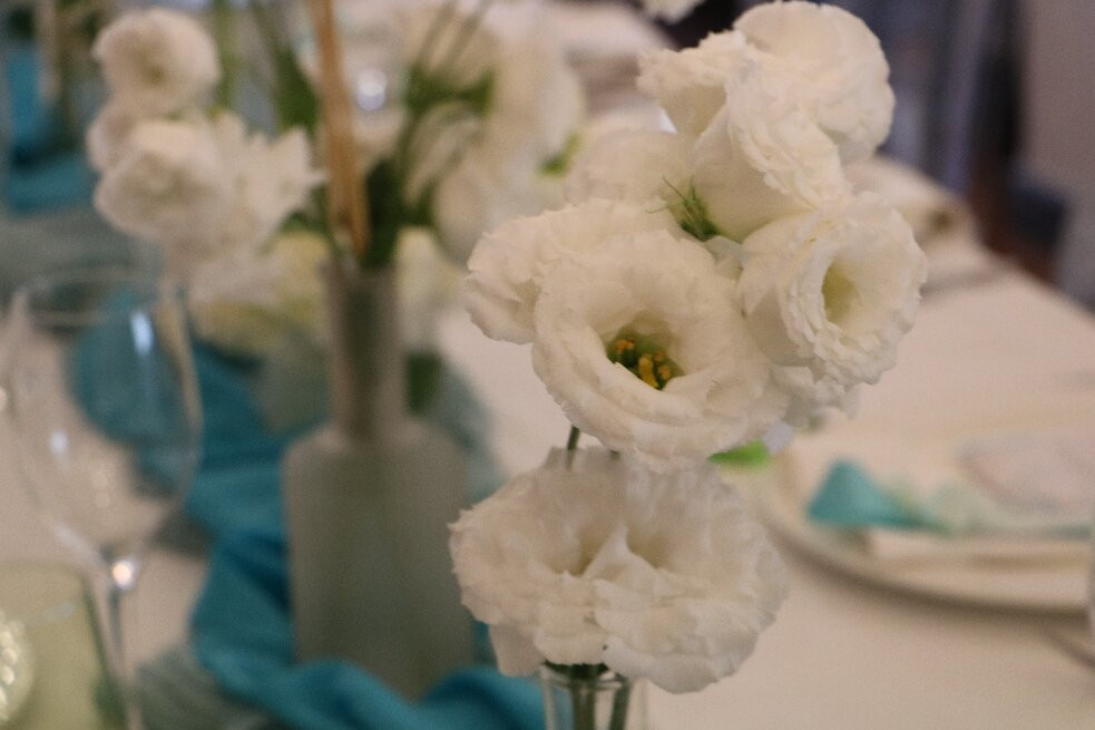 Tenuta Amalthea主图