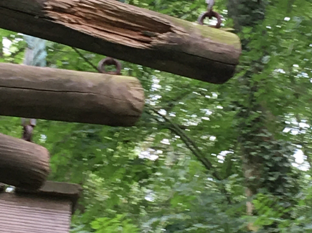 Parc Aventure Indian Forest景点图片