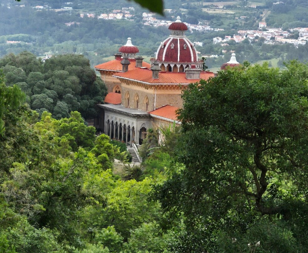 Discover Sintra Tuk-Tuk Tours-辛特拉必去景点