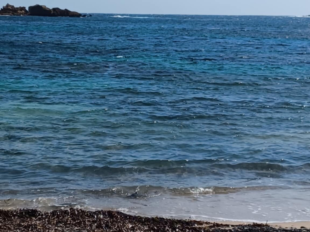 Cala Tamarells Des Sud-Es Grau必去景点