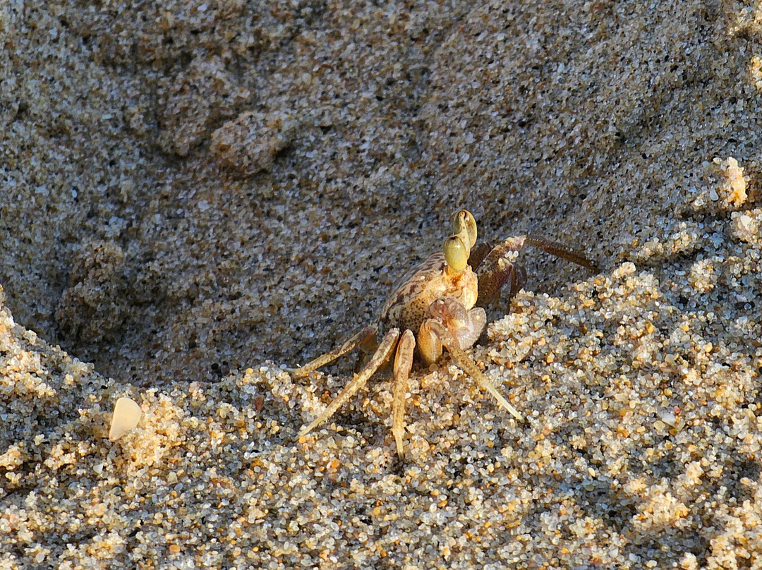 Maputo Special Reserve-马布多必去景点
