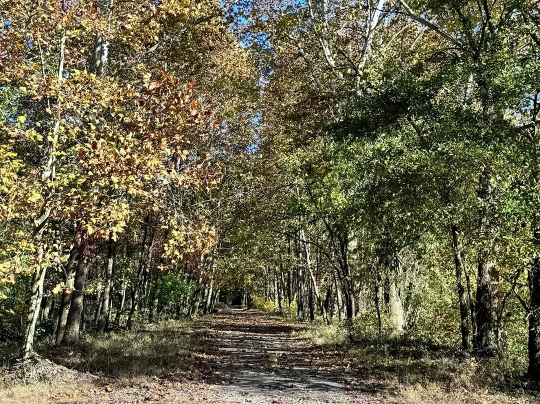 West Penn Trail景点图片