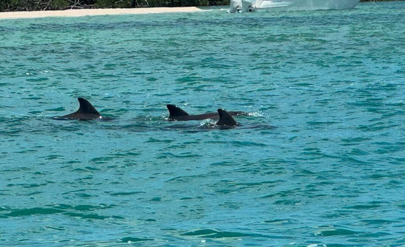 Beach Buddy Tours-迈尔斯堡海滩必去景点