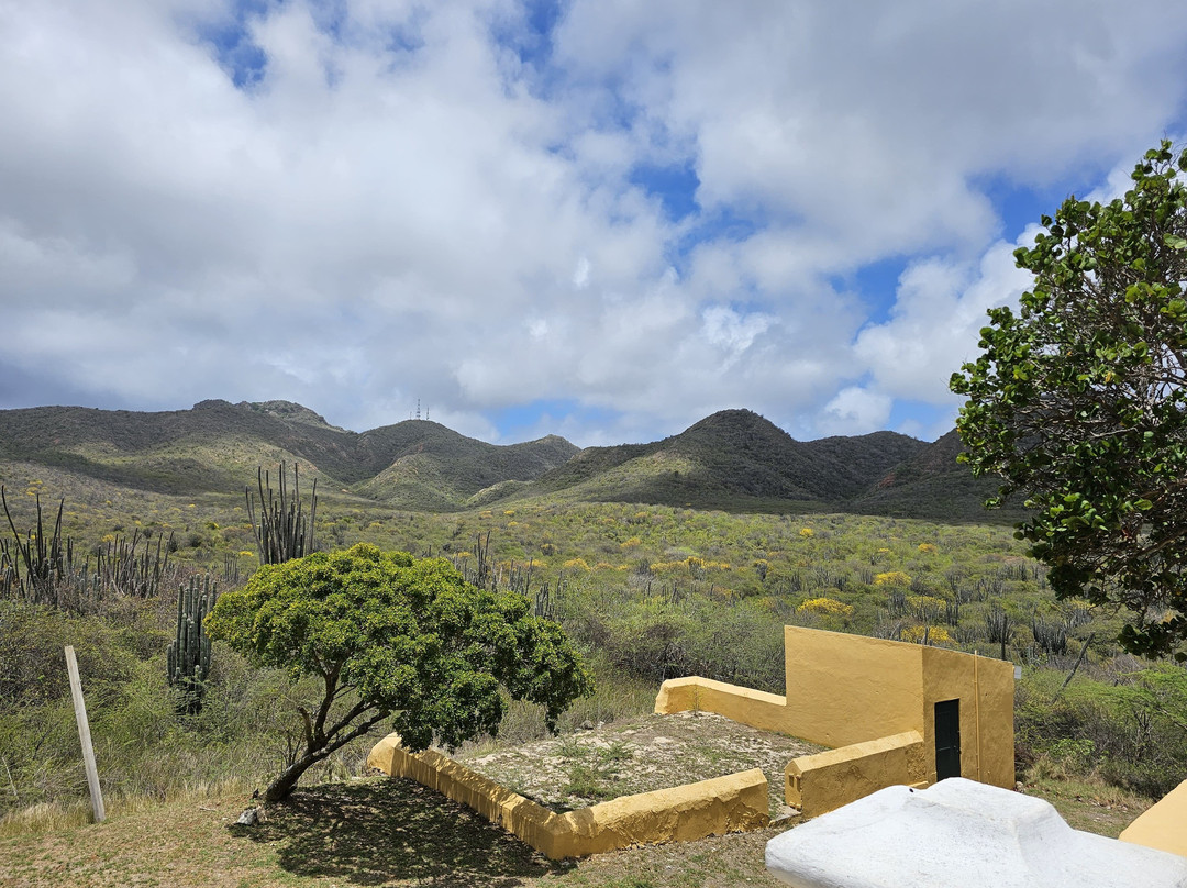 Tula Museum-库拉索必去景点