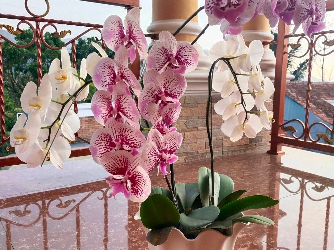 Wildan Homestay主图