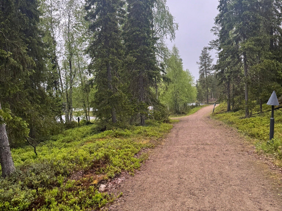 Ahvenlampi Lake-Luosto必去景点