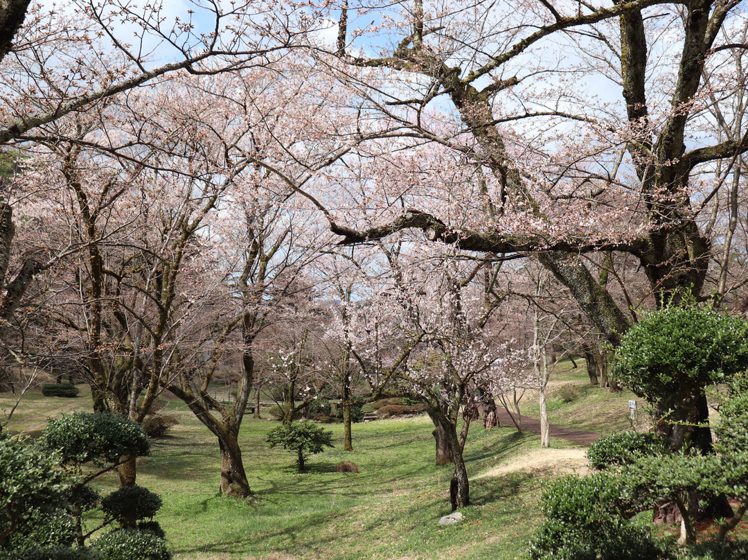 Muramatsu Park-五泉市必去景点
