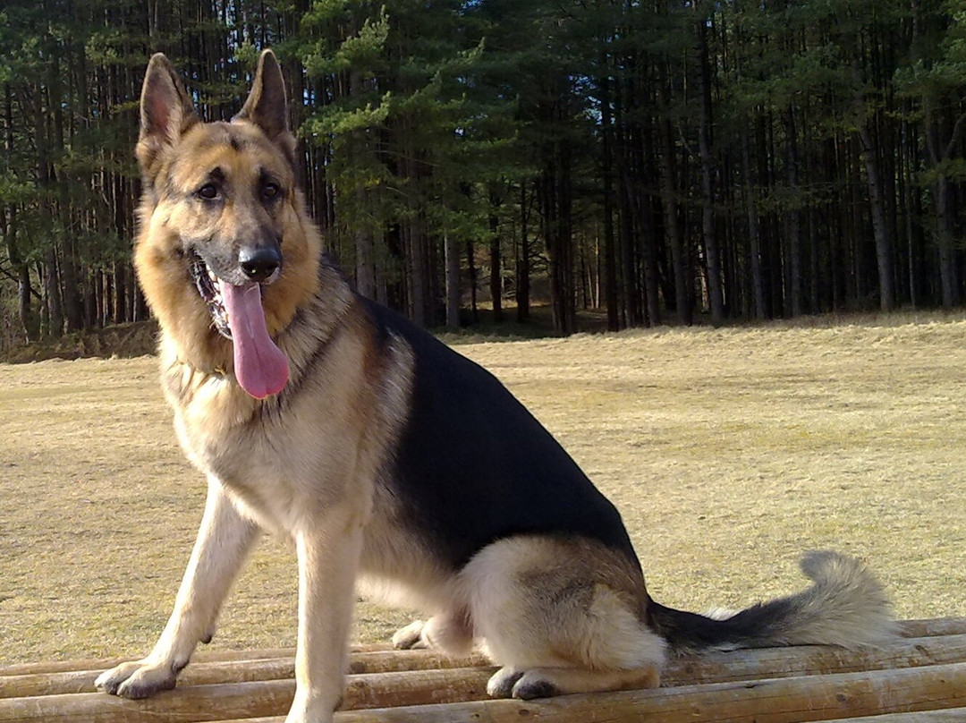 Neldi Art Gallery-帕福斯必去景点