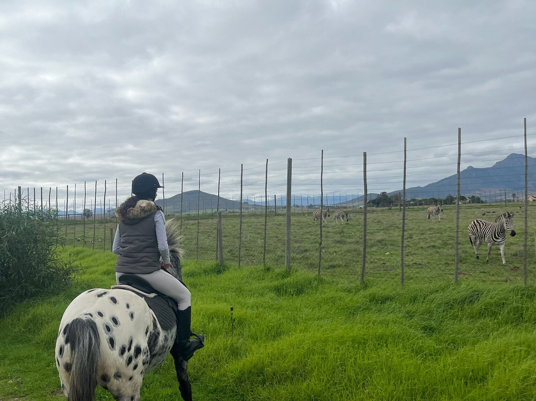 Equine Sport Centre-斯泰伦博斯必去景点