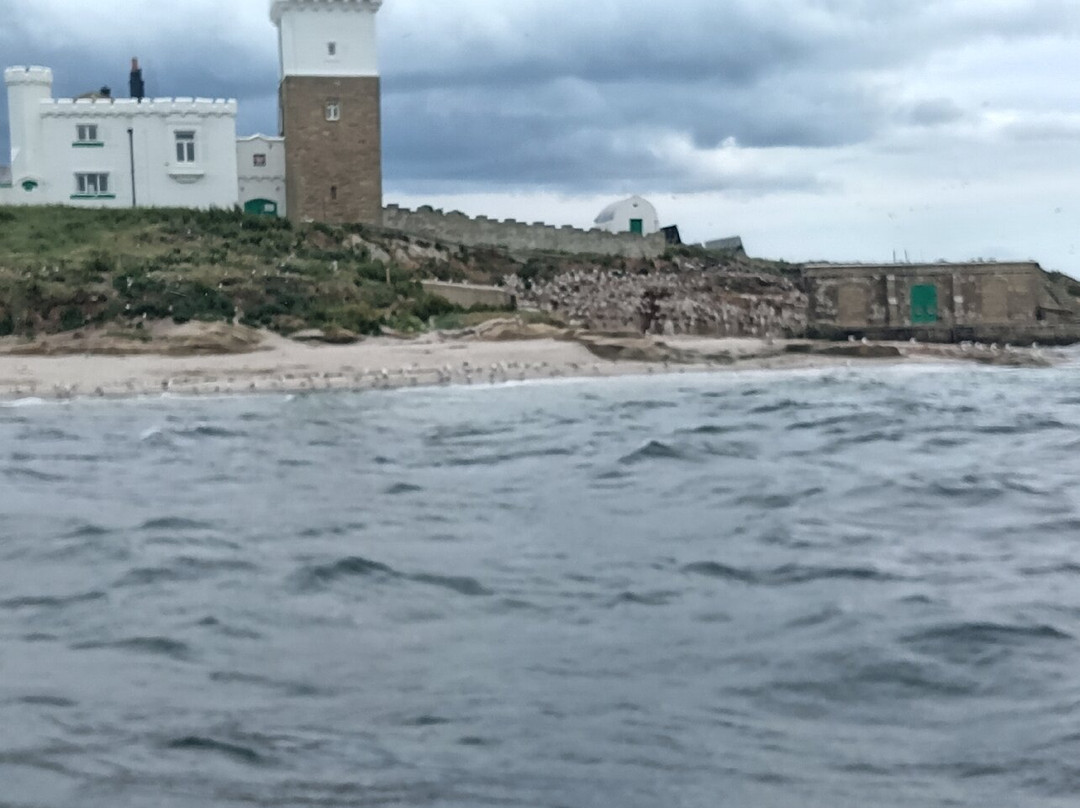 Amble boat trips-Amble必去景点