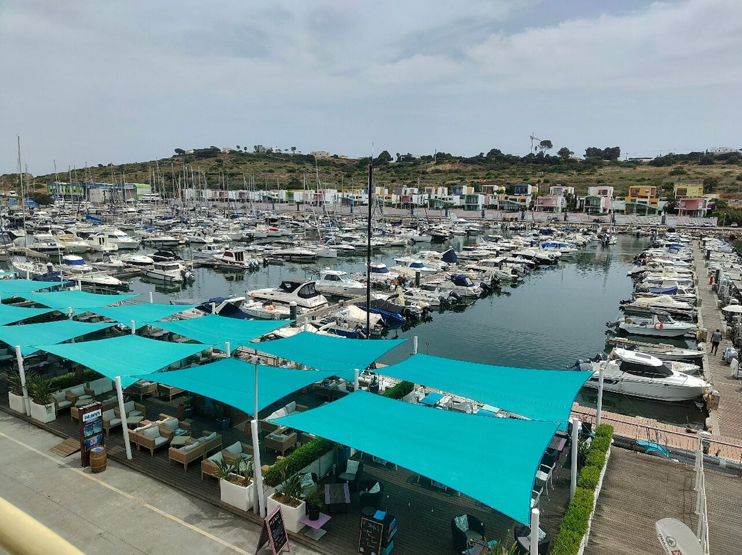 Sharky's Bar-阿尔布赞拉必去景点