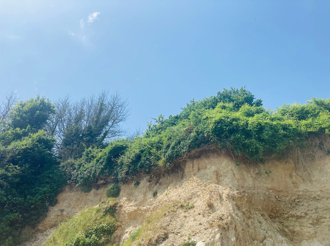 Mothecombe Beach-Modbury必去景点