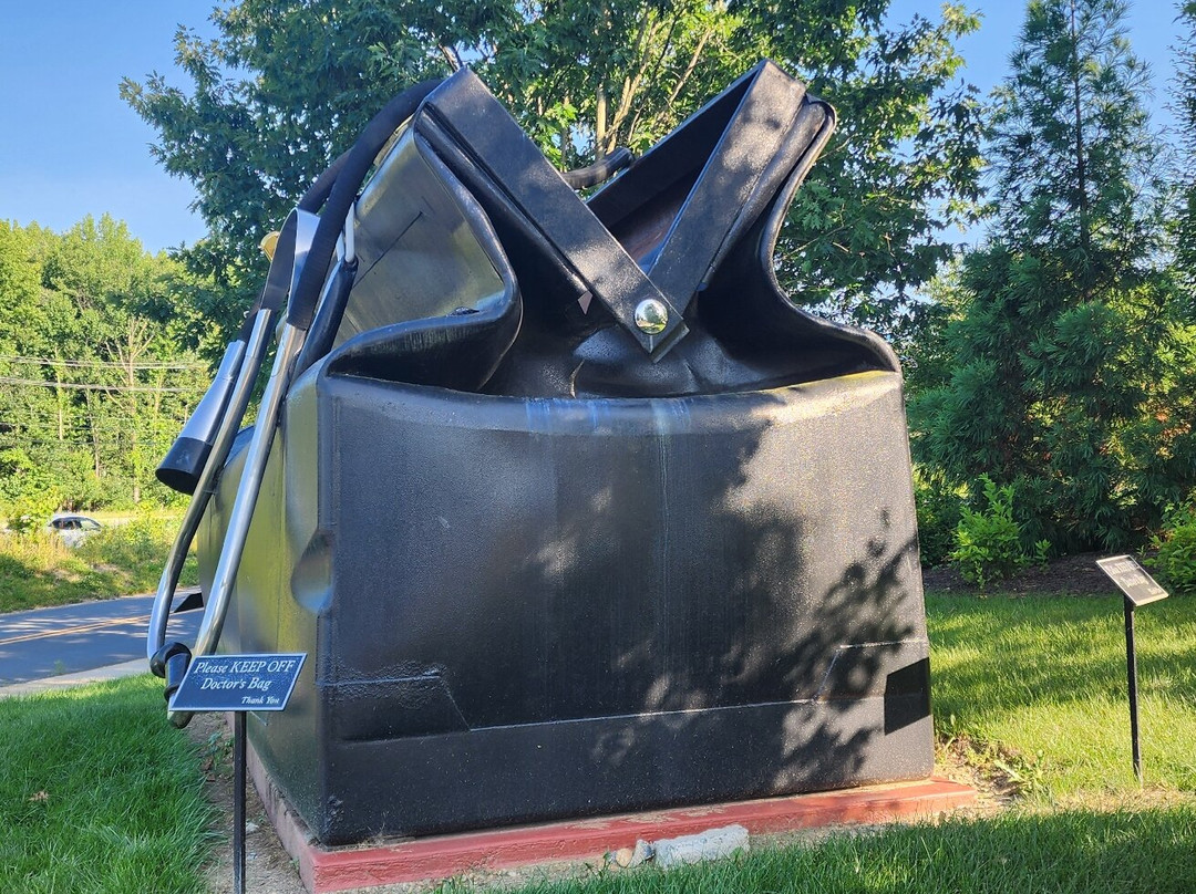 Huge Doctor's Bag With Stethescope-纽瓦克必去景点